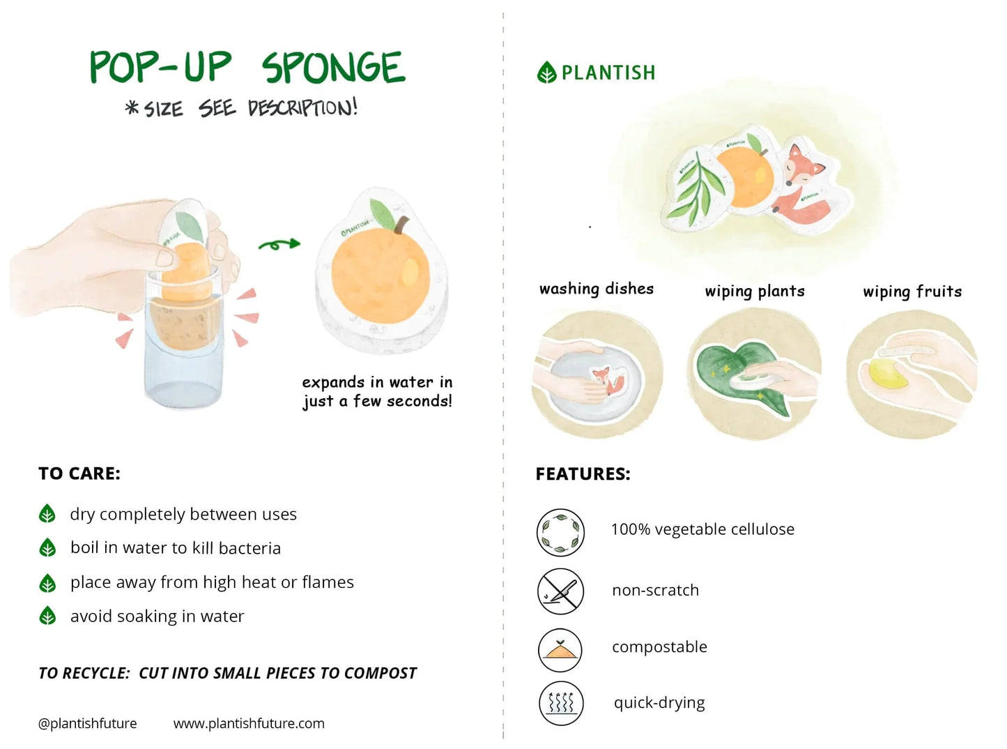 Corgi - Pop up Sponge