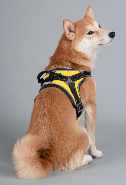 Dog Helios ® 'Scorpion' Sporty High-Performance Free-Range Dog Harness