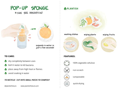 Corgi - Pop up Sponge