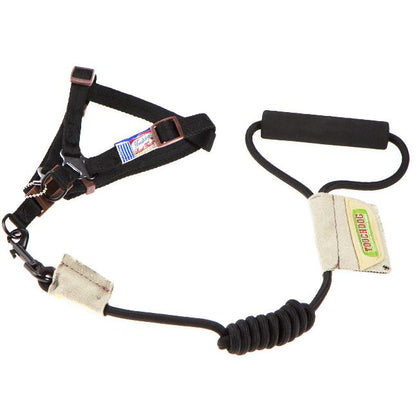 Touchdog Faded-Barker 2-in-1 Fashion Dog Leash and Harness